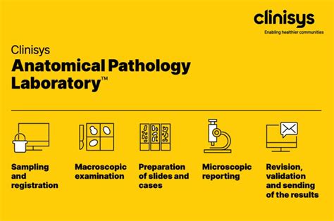 clinicsys|Integrated Clinic Information System (ClinicSys).